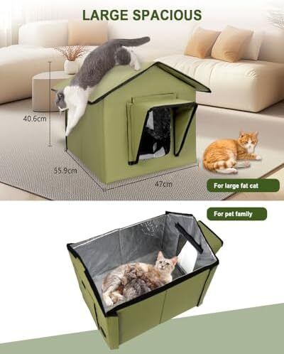 Outdoor Cat House