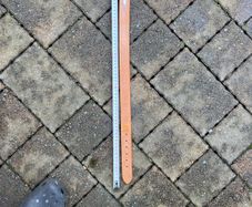 dog collar