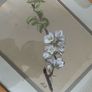 Botanical pastel drawing - framed Image 4