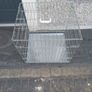Small dog cage Image 3