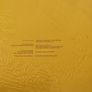 vinal Joy division 1915 Image 5
