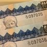 Nigerian Currency - Naira 10, 20 and 50 Image 6