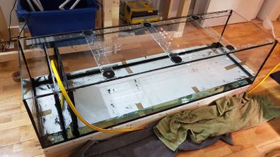 Custom Aquarium 300L (66gal)  160cmx48cmx41cm (LxWxH)