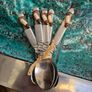 Vintage  firebird style spoons Image 6