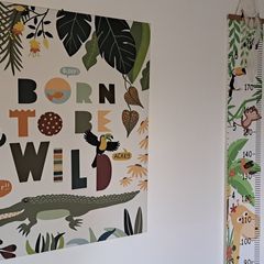 Canvas Picture & Height chart
