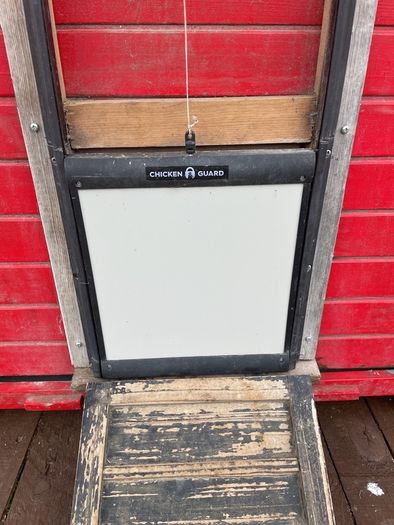 Chicken coop with automated door