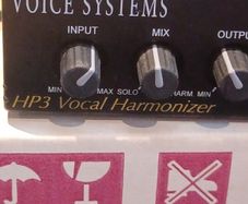 vocal