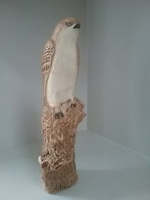 Bird of Prey