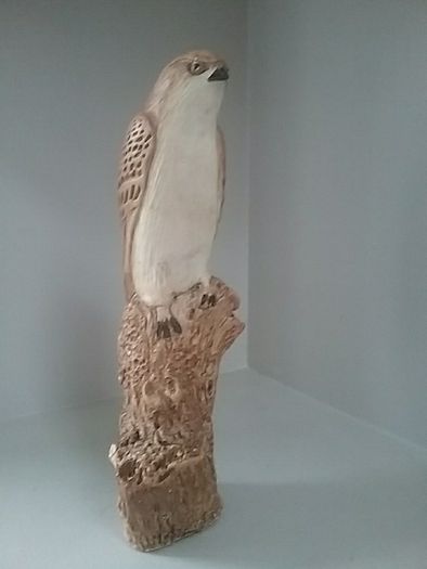 Bird of Prey