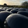 2026 Silage bales Image 4