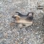 Tighe 3ft digger bucket suit 3cx or jcb 8 ton Image 10
