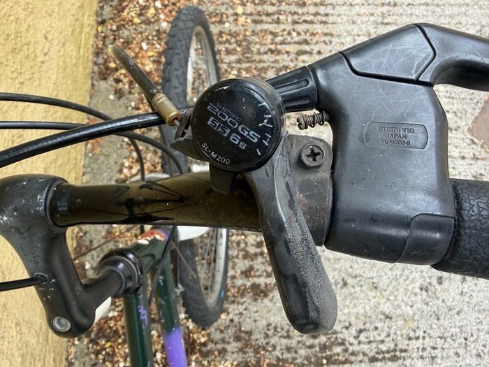 Raleigh Pioneer
