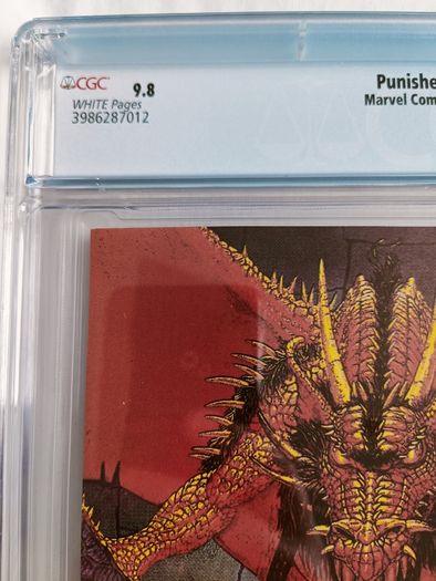 The Punisher Issue 42 CBCS / CGC 9.8 Certified Graded Comic Framed  DC Marvel