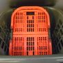 Tontarelli Red collapsible foldable basket, crate & Addis Laundry Basket Image 9