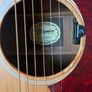 Takamine Image 2