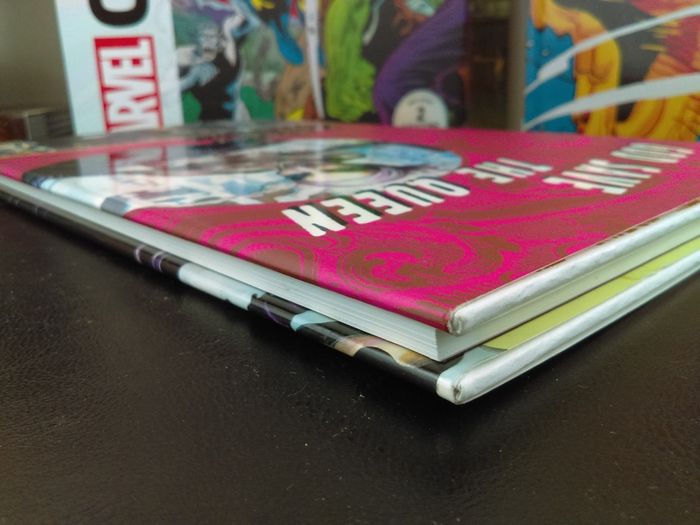 God Save The Queen Graphic Novel ! Beautiful Hardback ! by Vertigo !