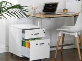 _Lockable Filing Cabinet with 2 Drawers
