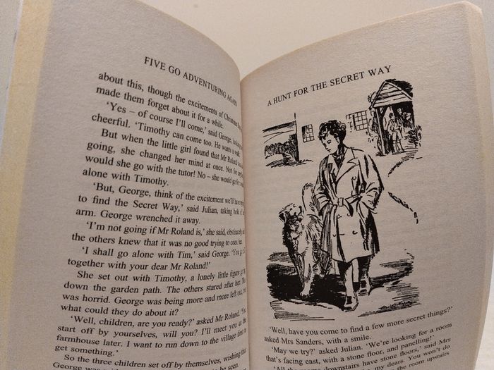 Enid Blyton, The Famous Five Classic Story Books