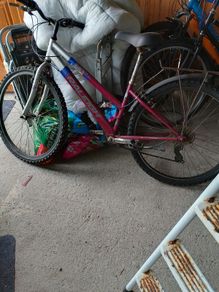 Free Raleigh Bike