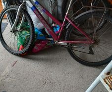 Free Raleigh Bike