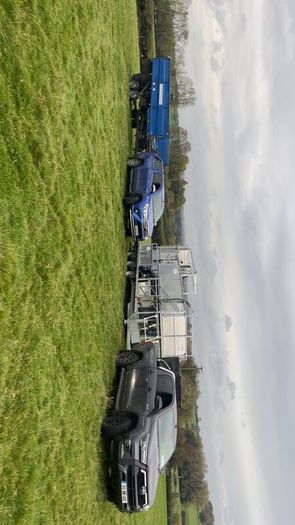 Sheep shearing and tub dipping