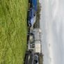 Sheep shearing and tub dipping for hire Image 2