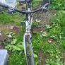 female bike Image 2