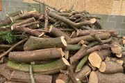logs