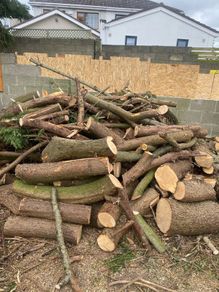 logs