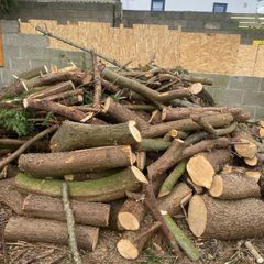 logs
