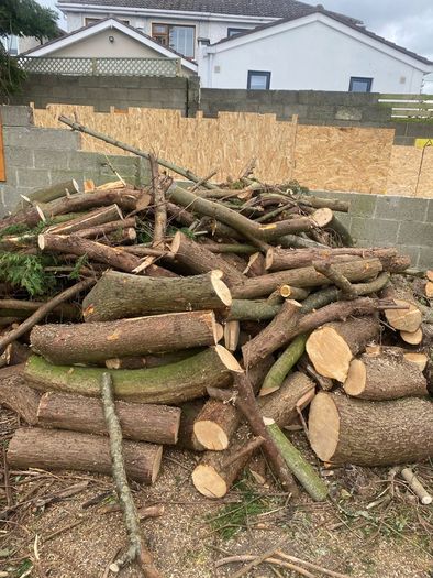 logs
