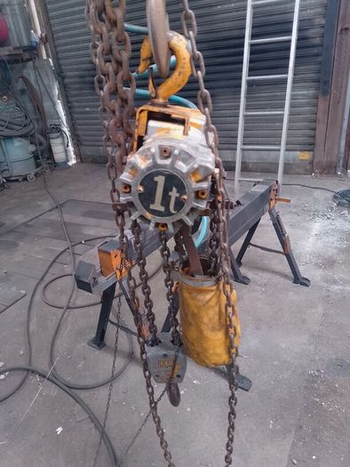 Air hoist