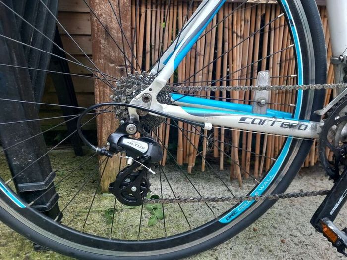 carrera road bike