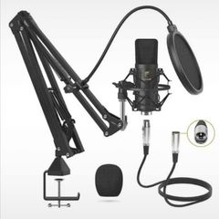 Microphone Professional