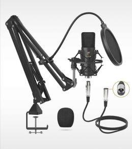 Microphone Professional