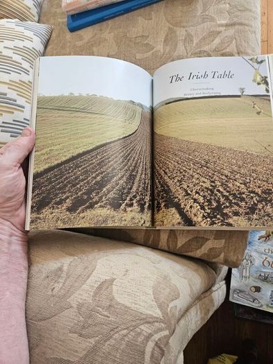 Irish Hands. The Tradition Of Beautiful Crafts.  By Sybil Connolly. First Edition Large Volume Hardback With Dustjacket In Good Condition.  See Photos For Same.