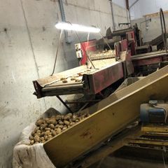 Potato grader
