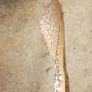 hay knife blade 17.5" long Image 4