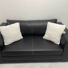 Free Delivery Sofa Bed