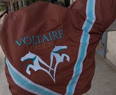 Dressage Saddle - Voltaire Adelaide