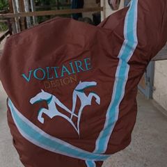Dressage Saddle - Voltaire Adelaide