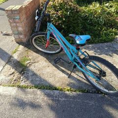 bike 4-6 years