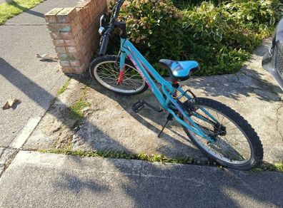 bike 4-6 years