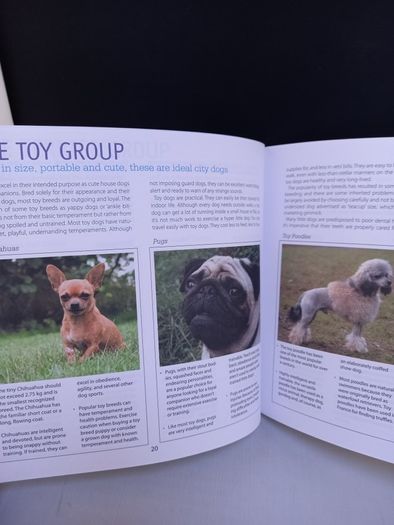 SALE! DOG CARE & TRAINING - A complete illustrated guide to adopting, house-training and raising a healthy dog