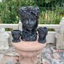 garden Image 2