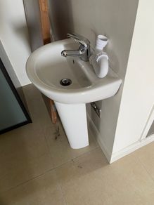 Sink and pedestal and WC with fittings.