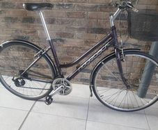 ladies bike( can deliver)