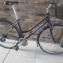 ladies bike( can deliver)
