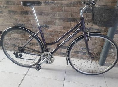 ladies bike( can deliver)