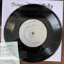 Bonnie "Prince" Billy & The Cairo Gang - The Wonder Show of the World Image 6